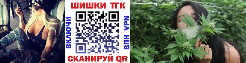 купить наркотики цена  Новокубанск  Шишки марихуана индика 